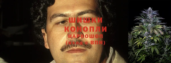 амф Бородино