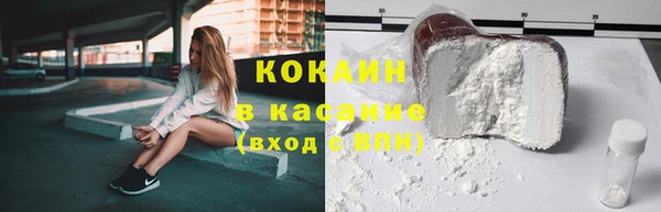 амф Бородино