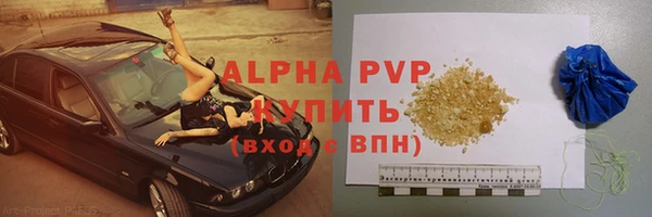 амф Бородино