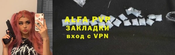 амф Бородино