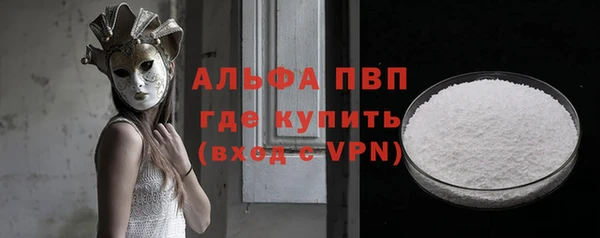 амф Бородино