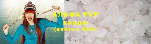 амф Бородино