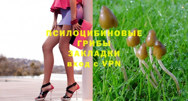 амф Бородино