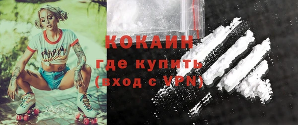амф Бородино