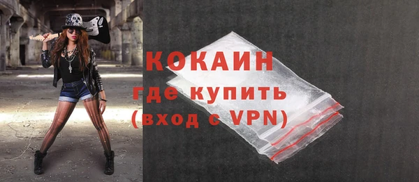 амф Бородино